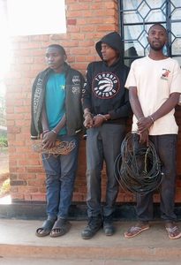 Polisi  yataye muri yombi abagabo batanu bibaga ibikoresho by’amashanyarazi biyitirira abakozi ba REG