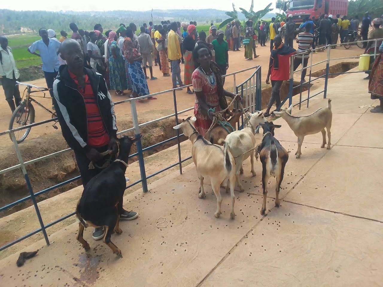 Ruhango:Polisi yafashe abasore 4 bafatiwe mu bujura bw’ihene 6